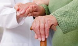 Etiam dictum egestas